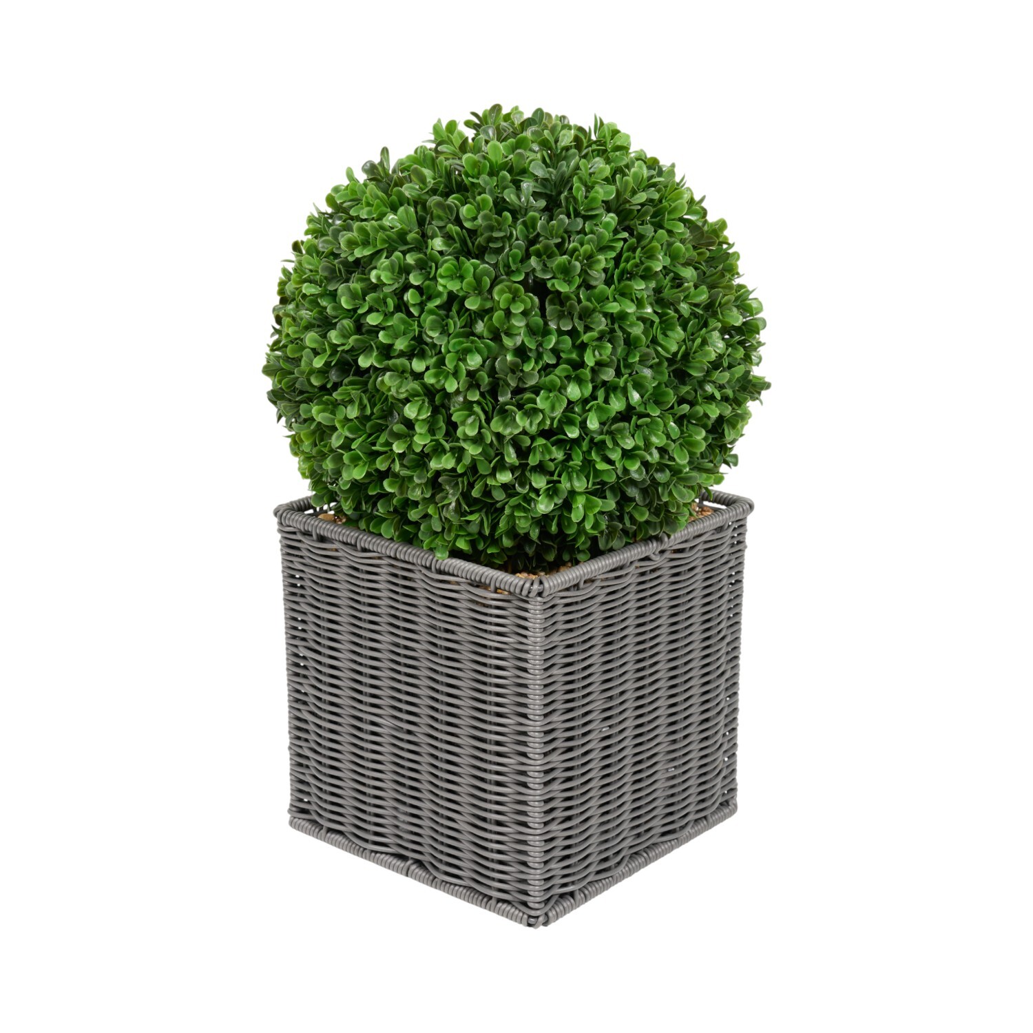 Boxwood Ball in Square Rattan Pot Grey Image 4