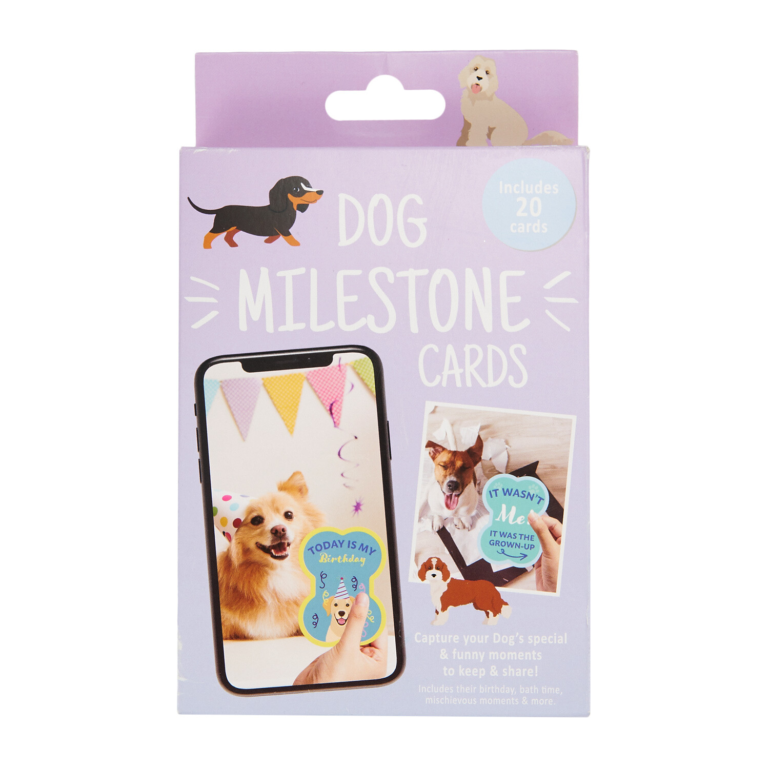Dog Milestone Cards Image 1
