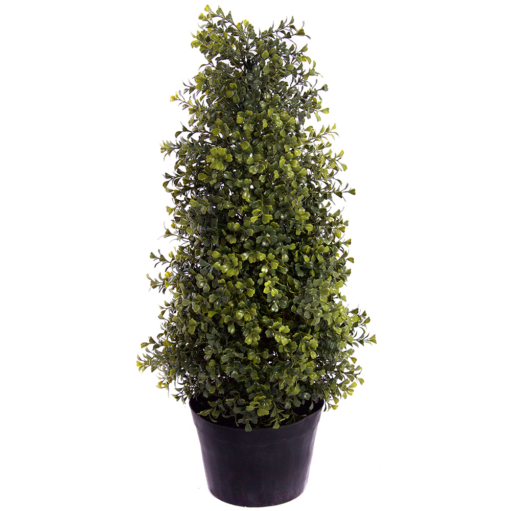 2ft Potted Boxwood Topiary Tree Image 1