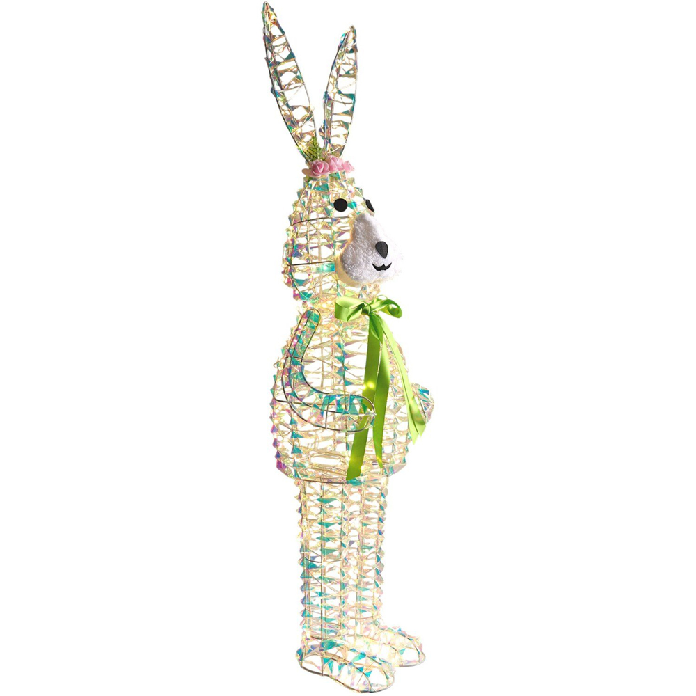 200 LED Iridescent Rabbit Image 4