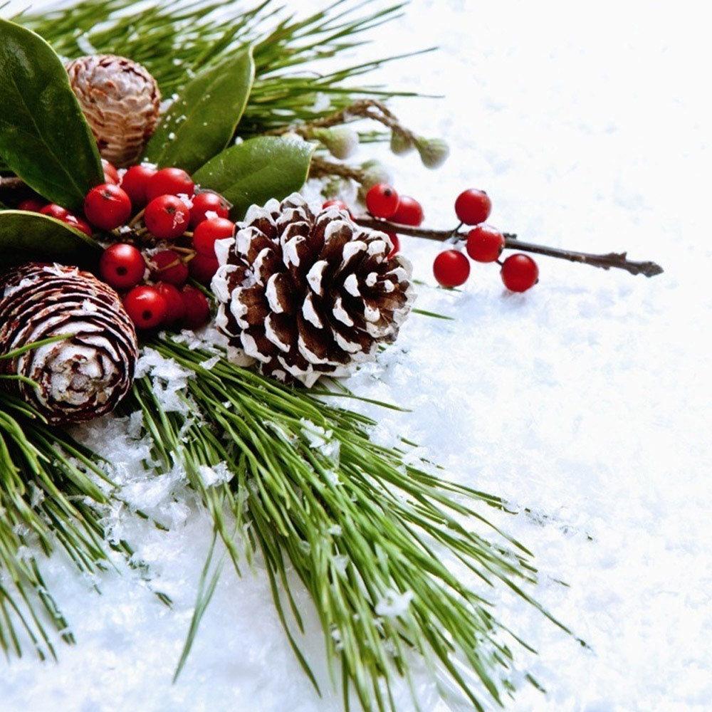 Living and Home Dyed Pine Cone Ornament 30 Pack Image 7