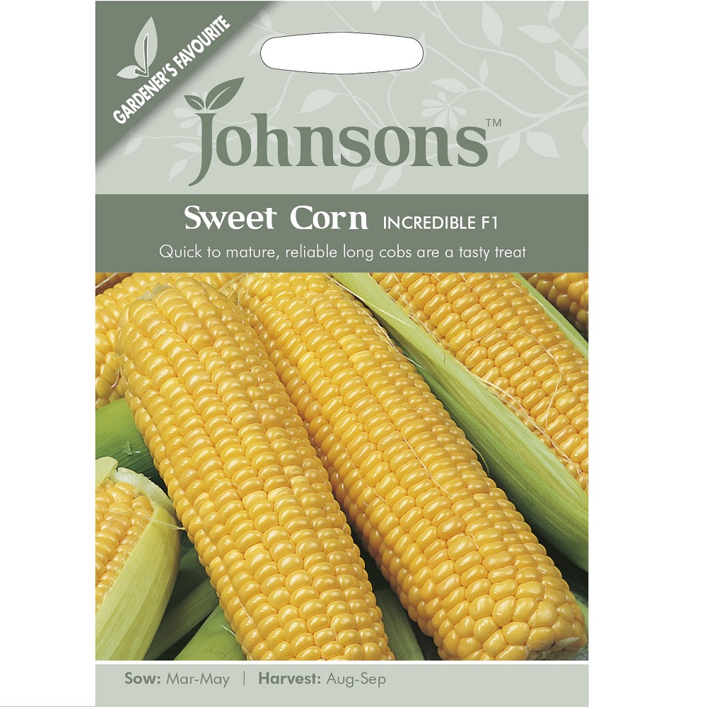 Johnsons Earlibird F1 Sweet Corn Seeds Image 1