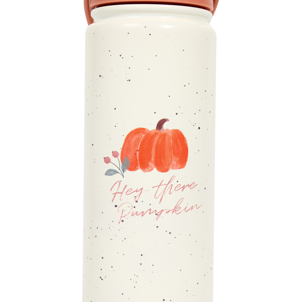 Autumn 2-in-1 Stainless Steel Flask and Bottle Image 5