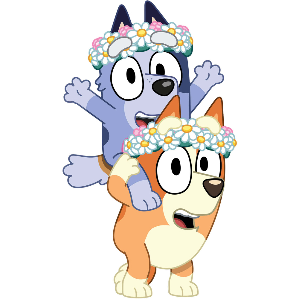 Star Cutouts Bingo and Socks Cardboard Cutout 3ft Image 1