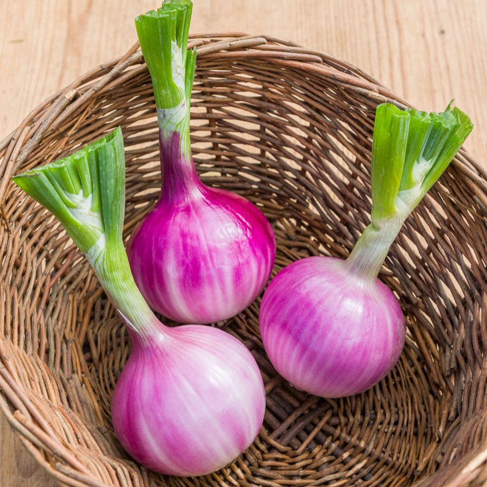 Thompson and Morgan Onion Allium Cepa Ruby Red Seed Packet Image 2