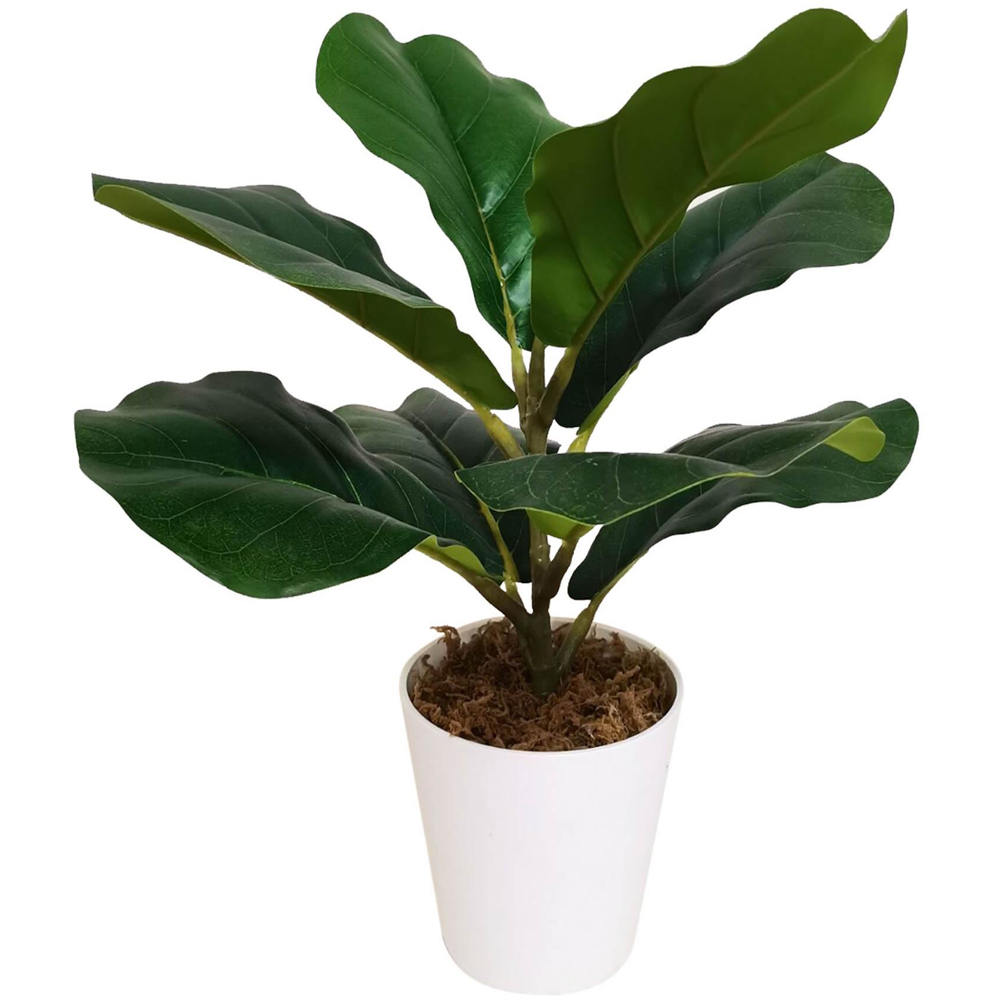 Leaf Fiddle Fig Artificial Plant in Pot 38cm 6 Pack Image 3