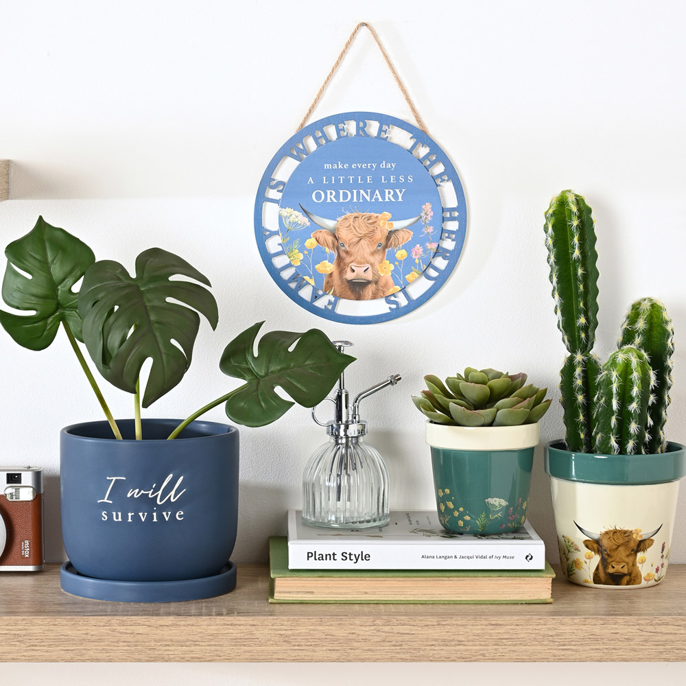 Country Living Highland Cow Motif Planter Set of 2 Image 2