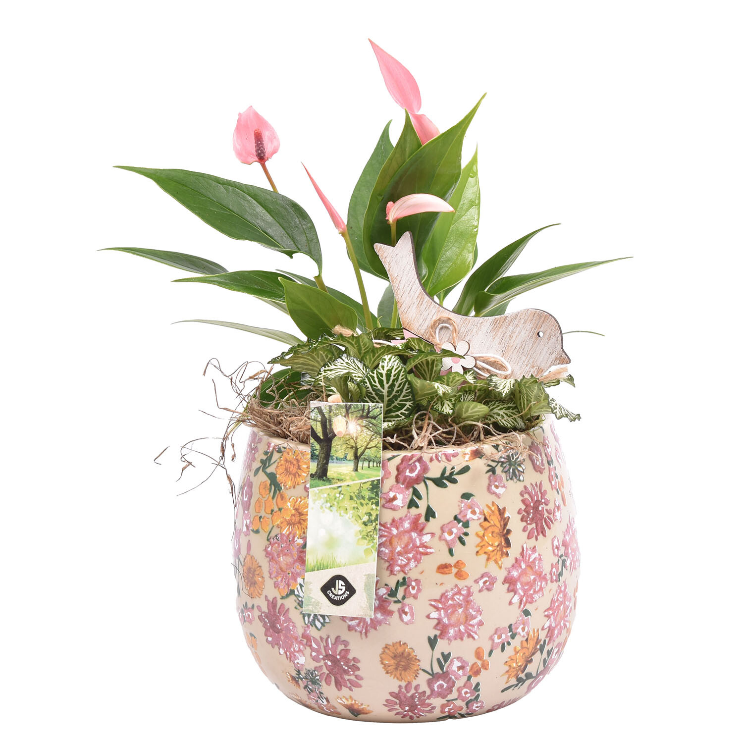 Plant Arrangement in Flowering Ceramic Pot - Multicolour Image