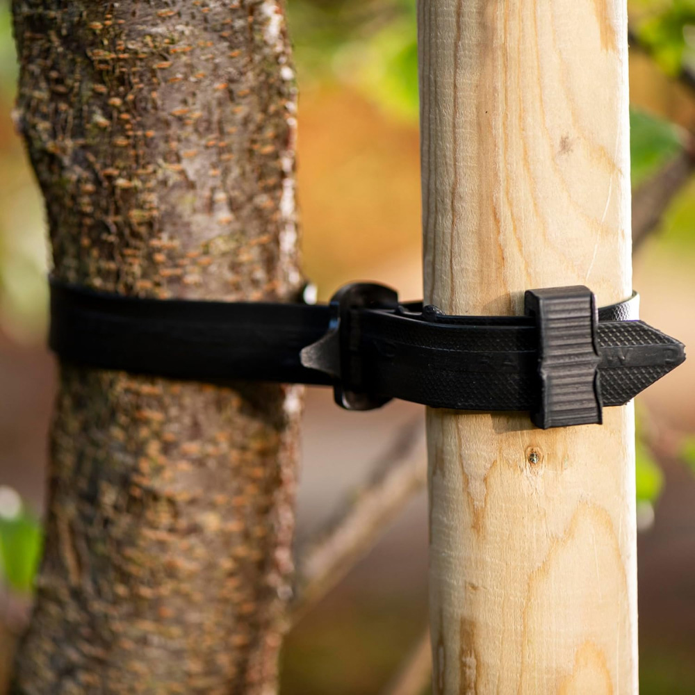 Garden Gear Adjustable Heavy-Duty Buckle Tree Tie 600 x 25cm Image 7
