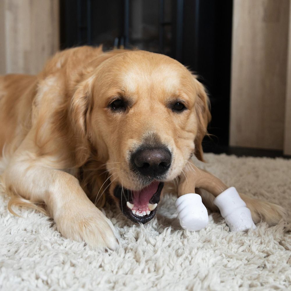 Nylabone Marshmallow Flavour Dog Chew Toy Image 2