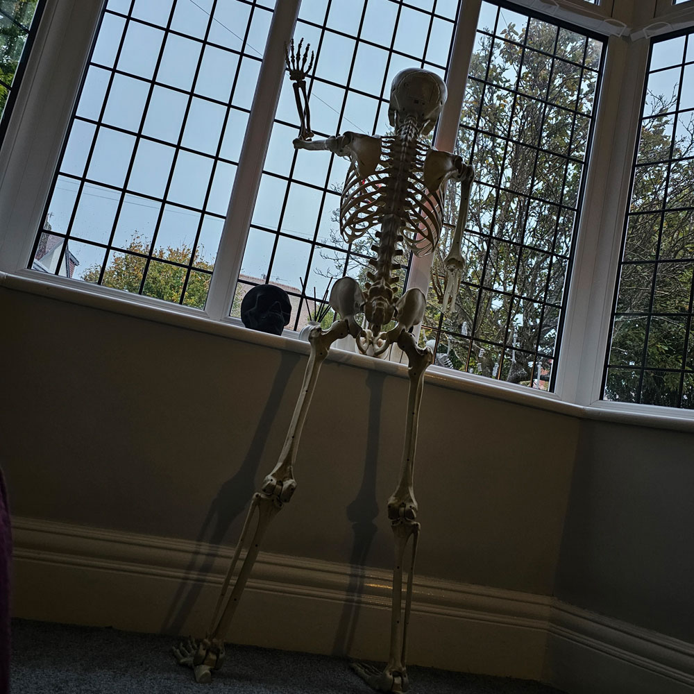Samuel Alexander Halloween LED Skeleton Decoration with Movable Joints and LED Eyes 5ft 4 Pack Image 4