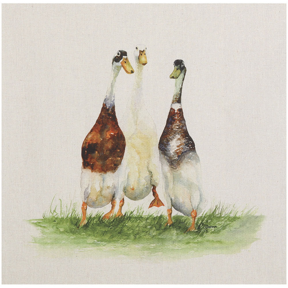 Jane Bannon Trio of Ducks Canvas Image