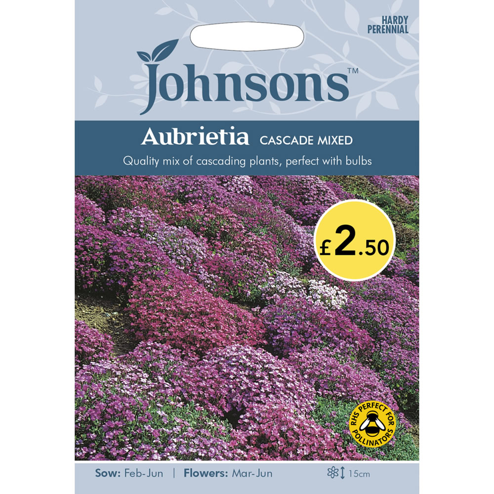 Johnsons Aubrieta Cascade Mix Seeds Image 2