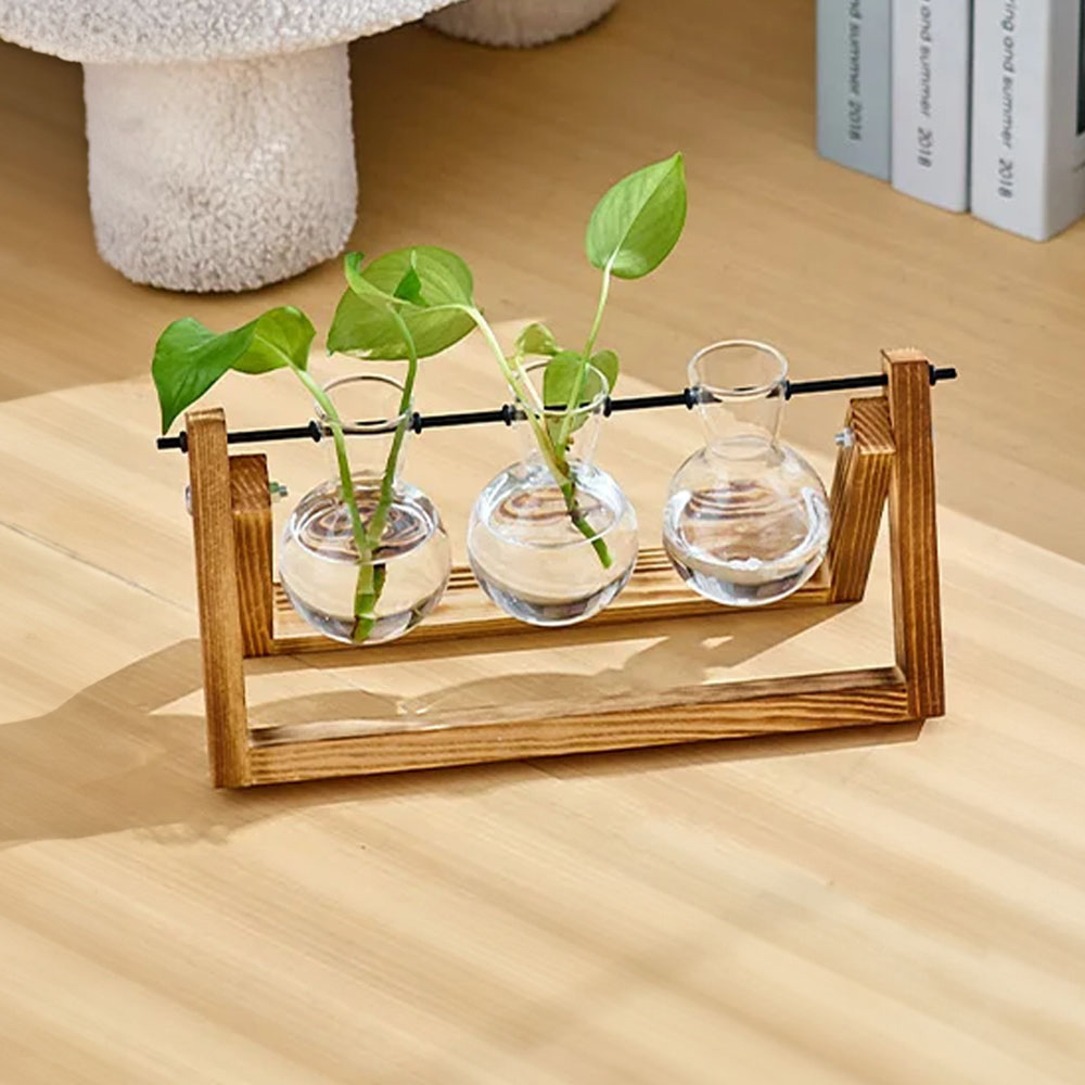 Living and Home 3 Piece Bulb Glass Terrariums with Wood Stand Image 7