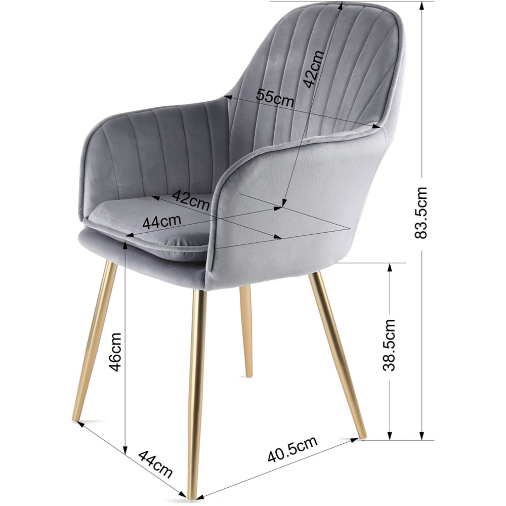 Muse Grey Velvet Accent Chair with Golden Legs Set of 2 Image 7
