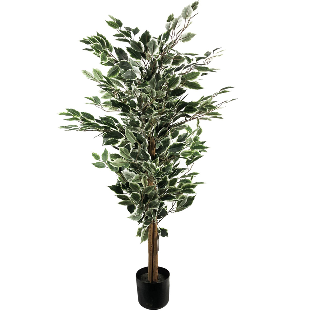 Botanik Ficus White Edge Bushy Realistic Artificial House Plant 4.3ft Image 1
