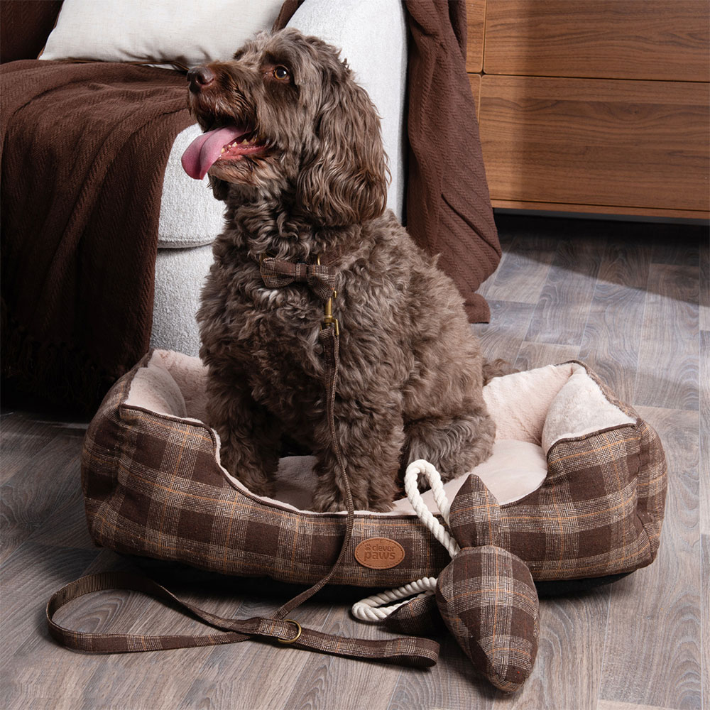 Heritage Dog Collar and Lead Set Brown Image 3