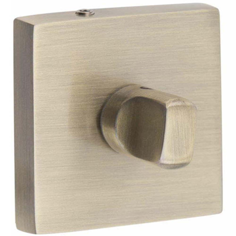 Golden Grace Antique Brass Lime Thumbturn Coin Release Image 2