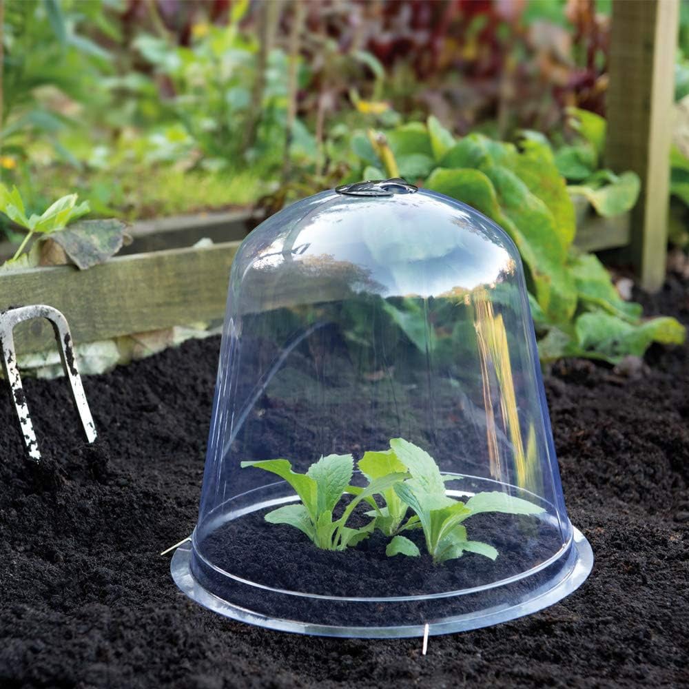 Garden Gear Bell Cloche 33.5 x 30cm 5 Pack Image 2