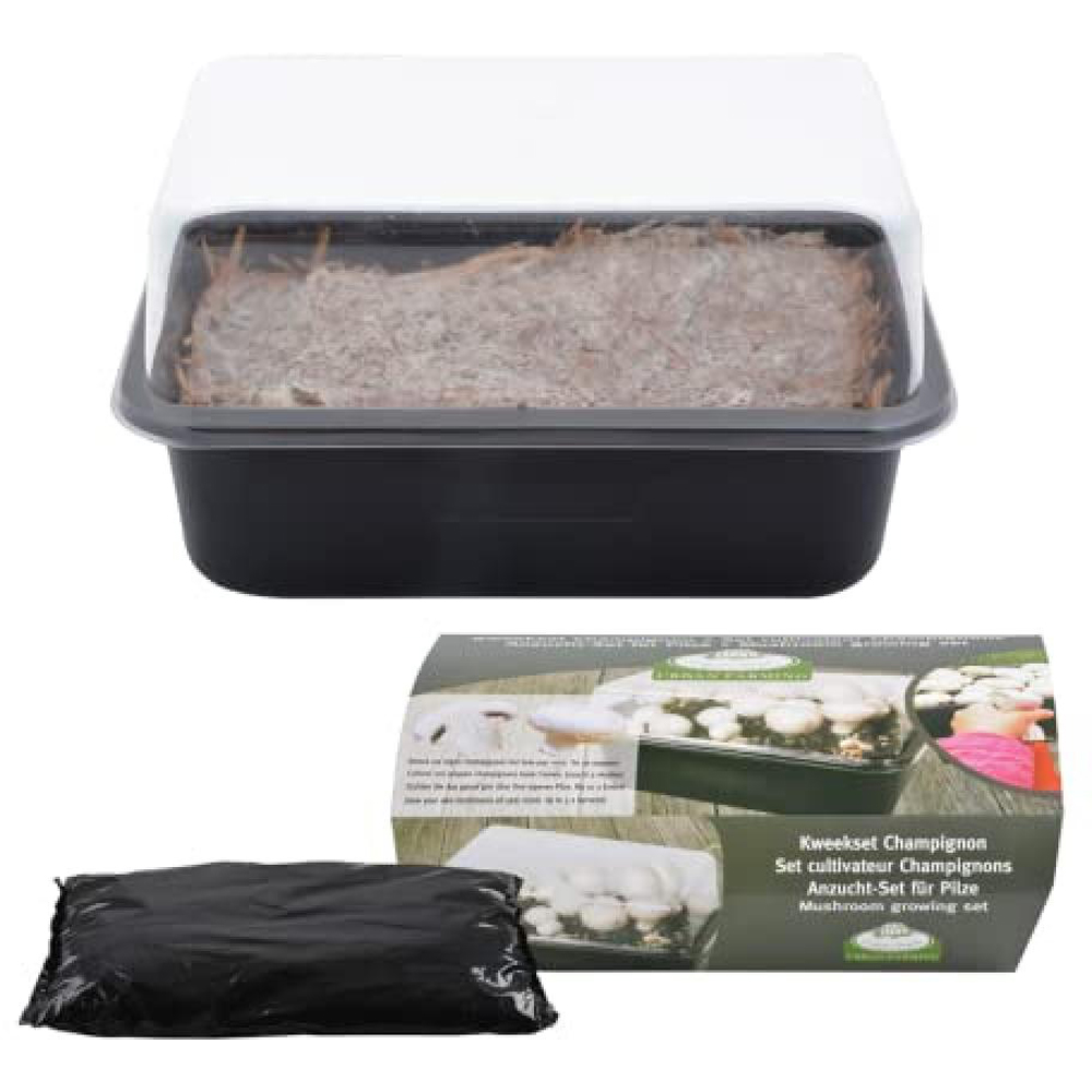 Fallen Fruits Home Mushroom Starter Grow Kit Image 2