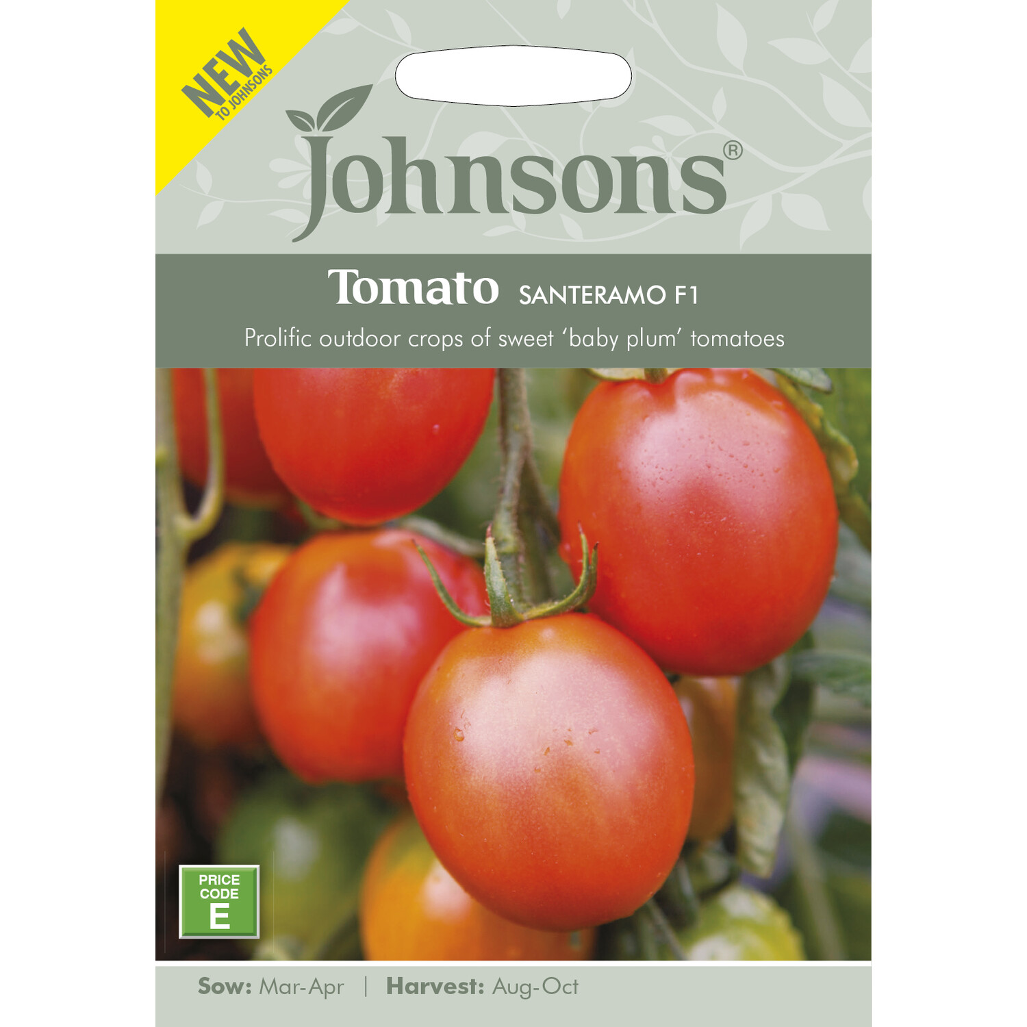 Johnsons Tomato Santeramo F1 Vegetable Seeds Image 2