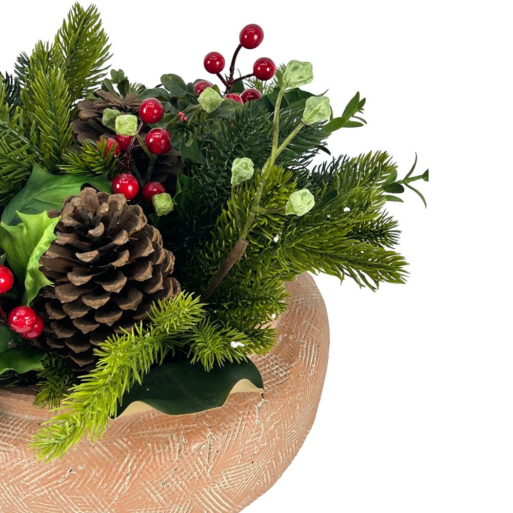 Traditional Potted Holly and BerryGreen Image 3