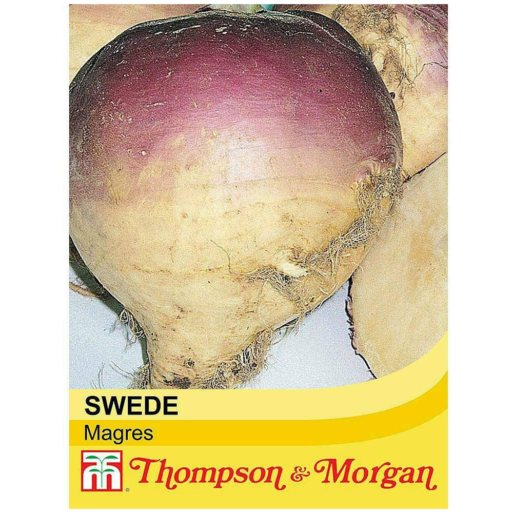 Thompson and Morgan Swede Magres Seeds Image 2