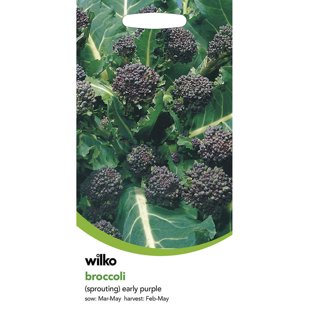 Wilko Broccoli Early Purple Sprouting Seeds Image 2