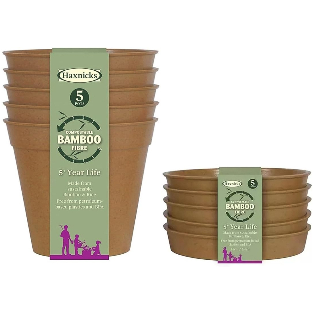 Garden Gear Terracotta Bamboo Pot with Saucer 13cm 5 Pack Image