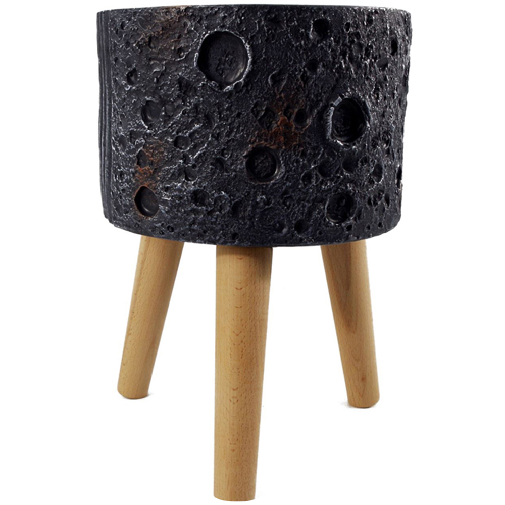 Leaf Moon Black Planter with Stand Image 1