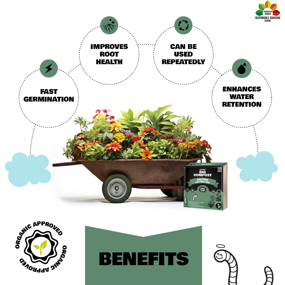 Coco & Coir Little Big Compost Cactus Compost 9L Image 4