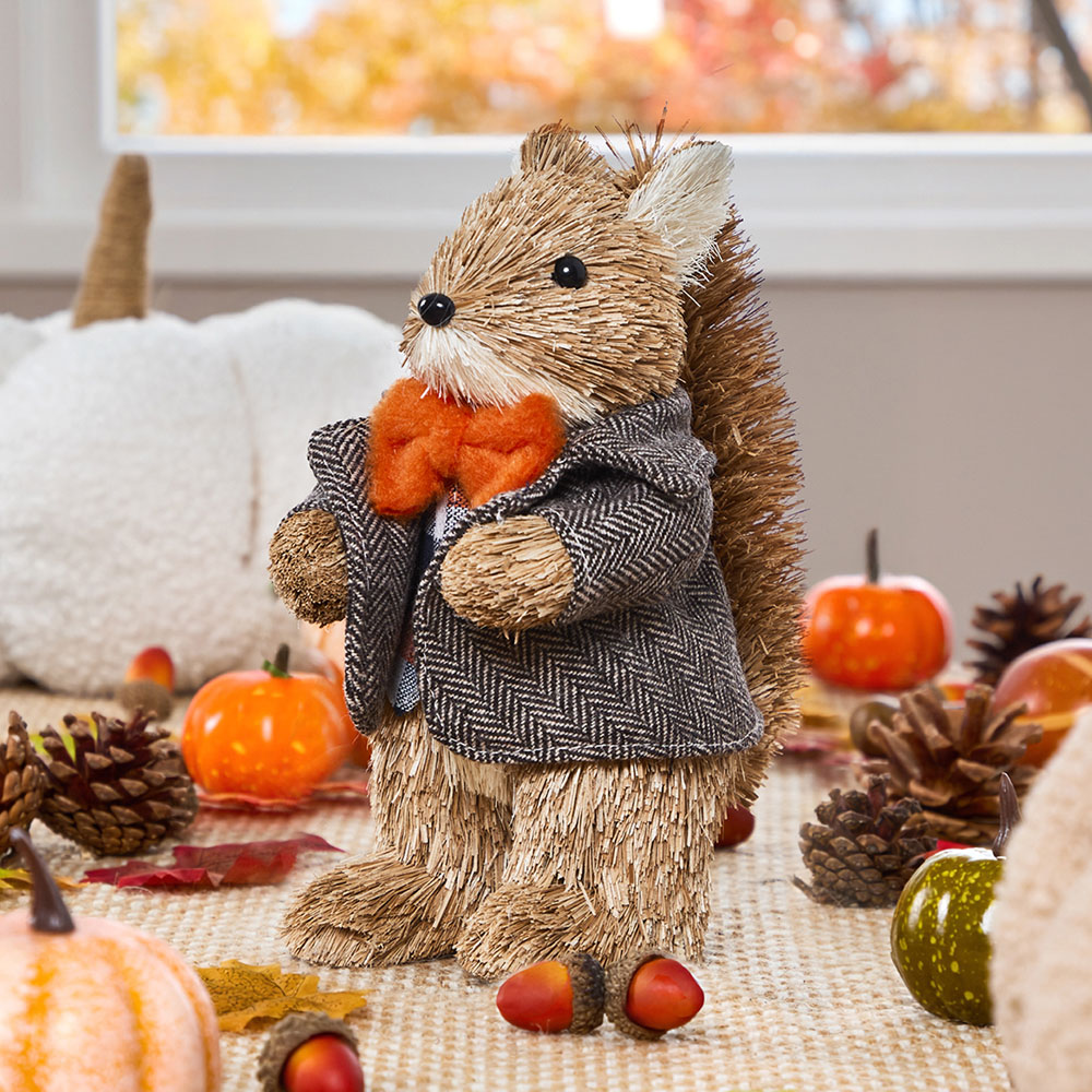 Benross Anika Mr Squirrel Straw Decor 19cm Image 2