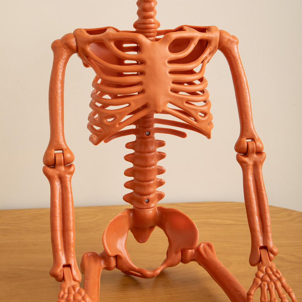 Samuel Alexander Poseable Pumpkin Skeleton Hanging Halloween Decoration 90cm Image 5