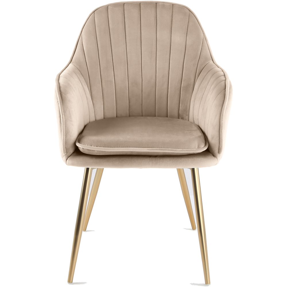 Pair of Muse Accent Chairs in Velvet Upholstery - Taupe Image 3