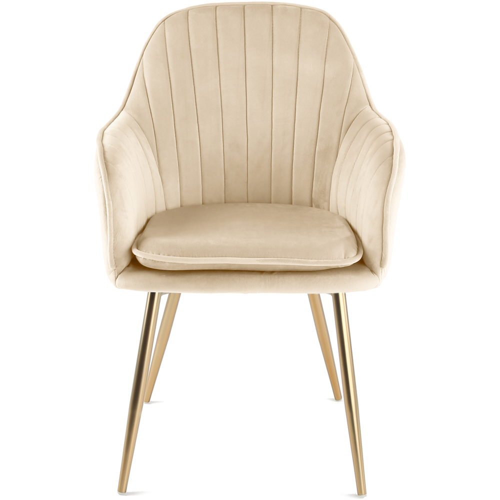 Muse Accent Chair in Velvet Upholstery - Champagne Image 3