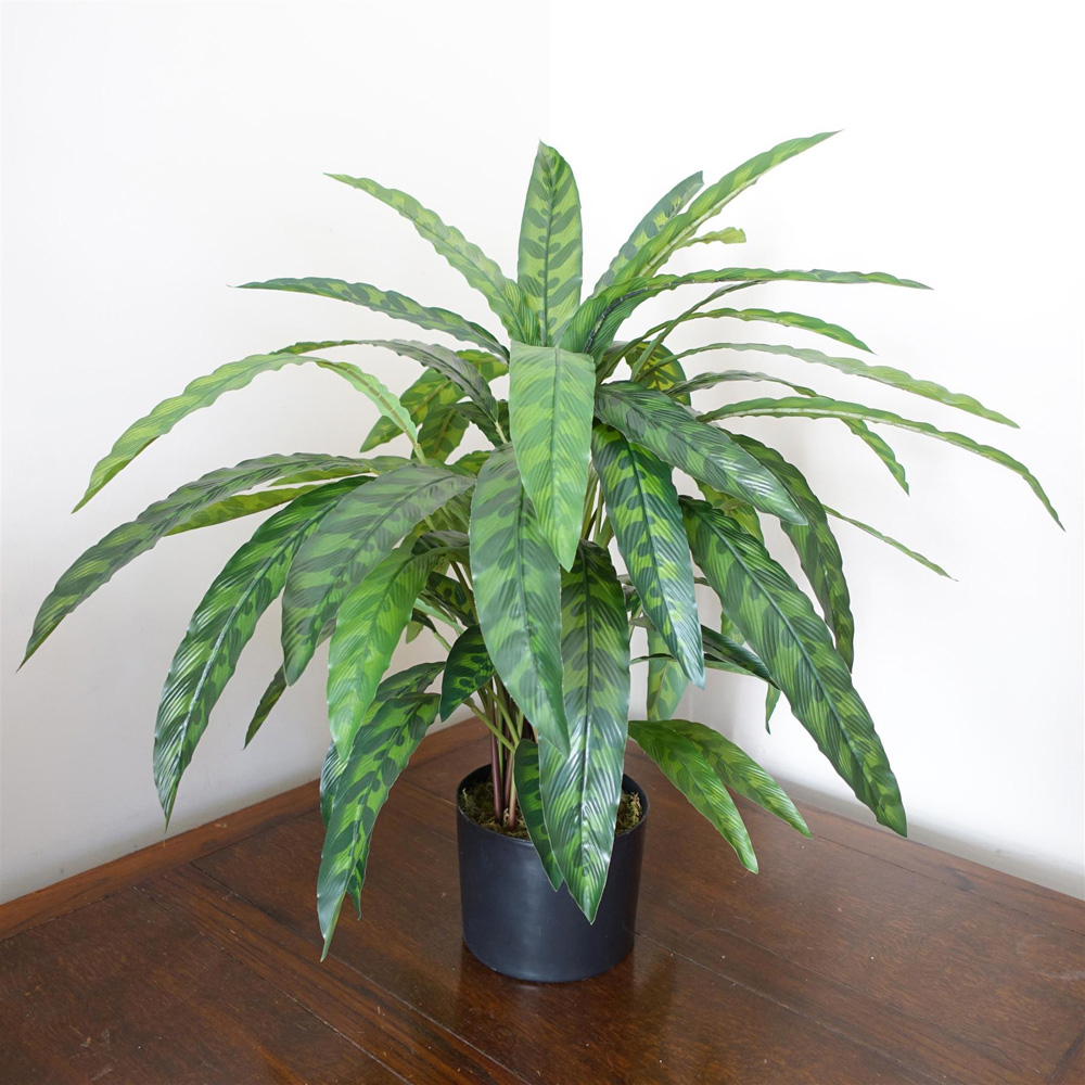 Leaf Green Variegated Calathea Artificial Plant Pot 1.9ft Image 7