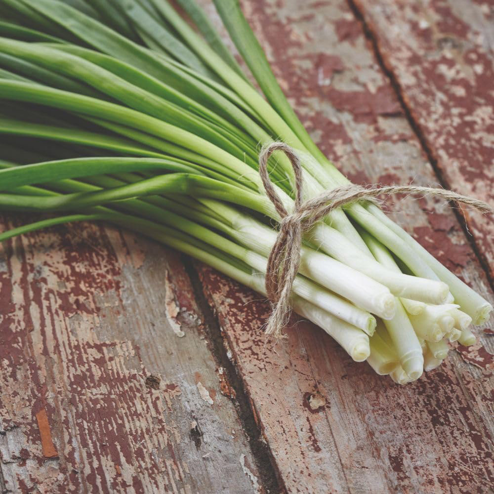 Thompson and Morgan Spring Onion White Lisbon Seed Packet Image 3