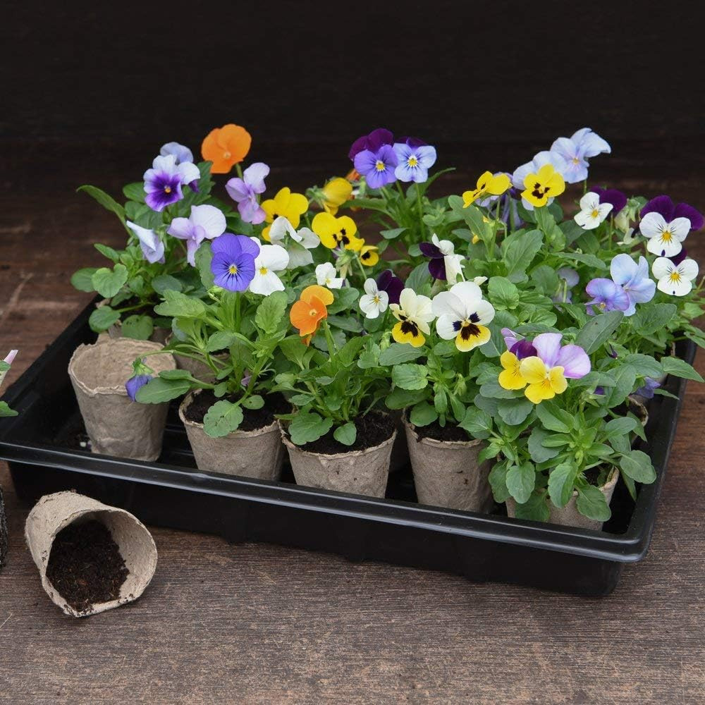 Garden Gear Garden Grow Fibre Grow Pot 96 Pack Image 2