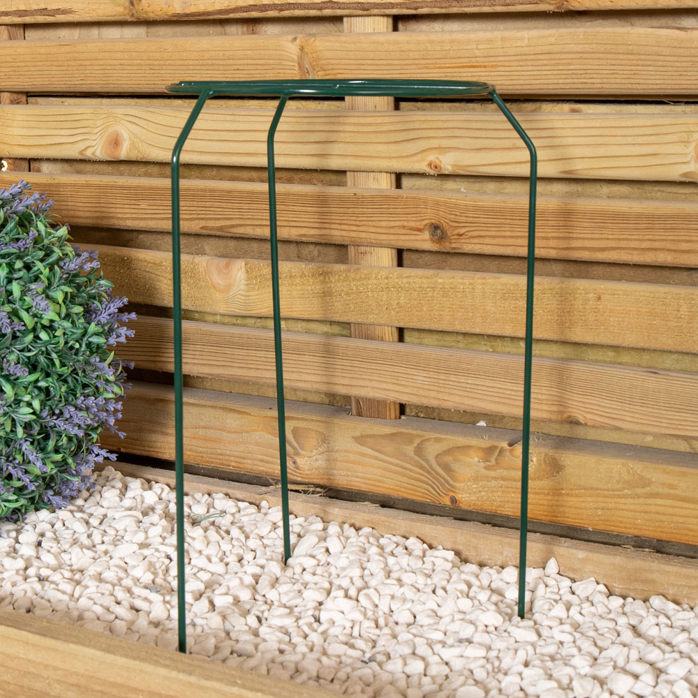 Samuel Alexander Dark Green Metal Herbaceous Plant Support 40 x 20cm Image 7