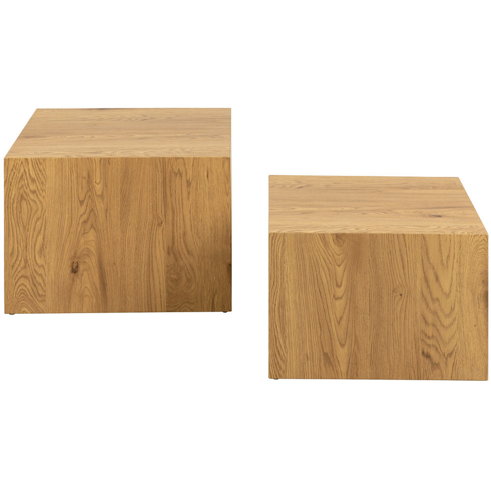 Florence Dice Square Coffee Table Set of 2 Image 3