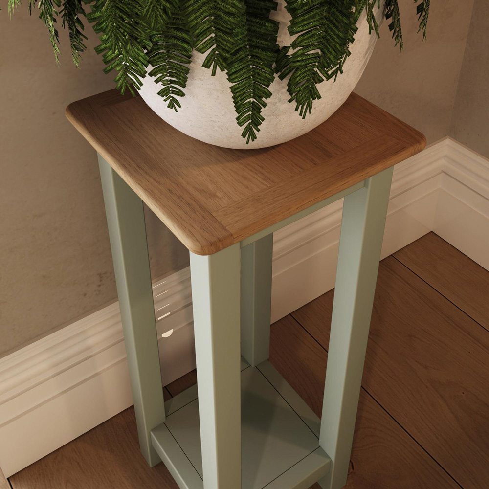 FWStyle Taberno Single Shelf Sage Green and Oak Side Table Image 5