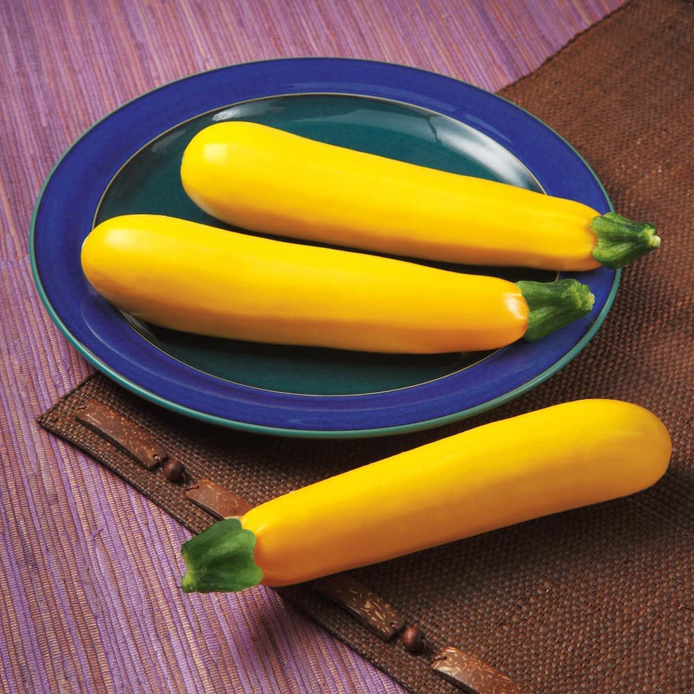 Thompson and Morgan Courgette Golden Glory Potted Plant 9cm Image 2