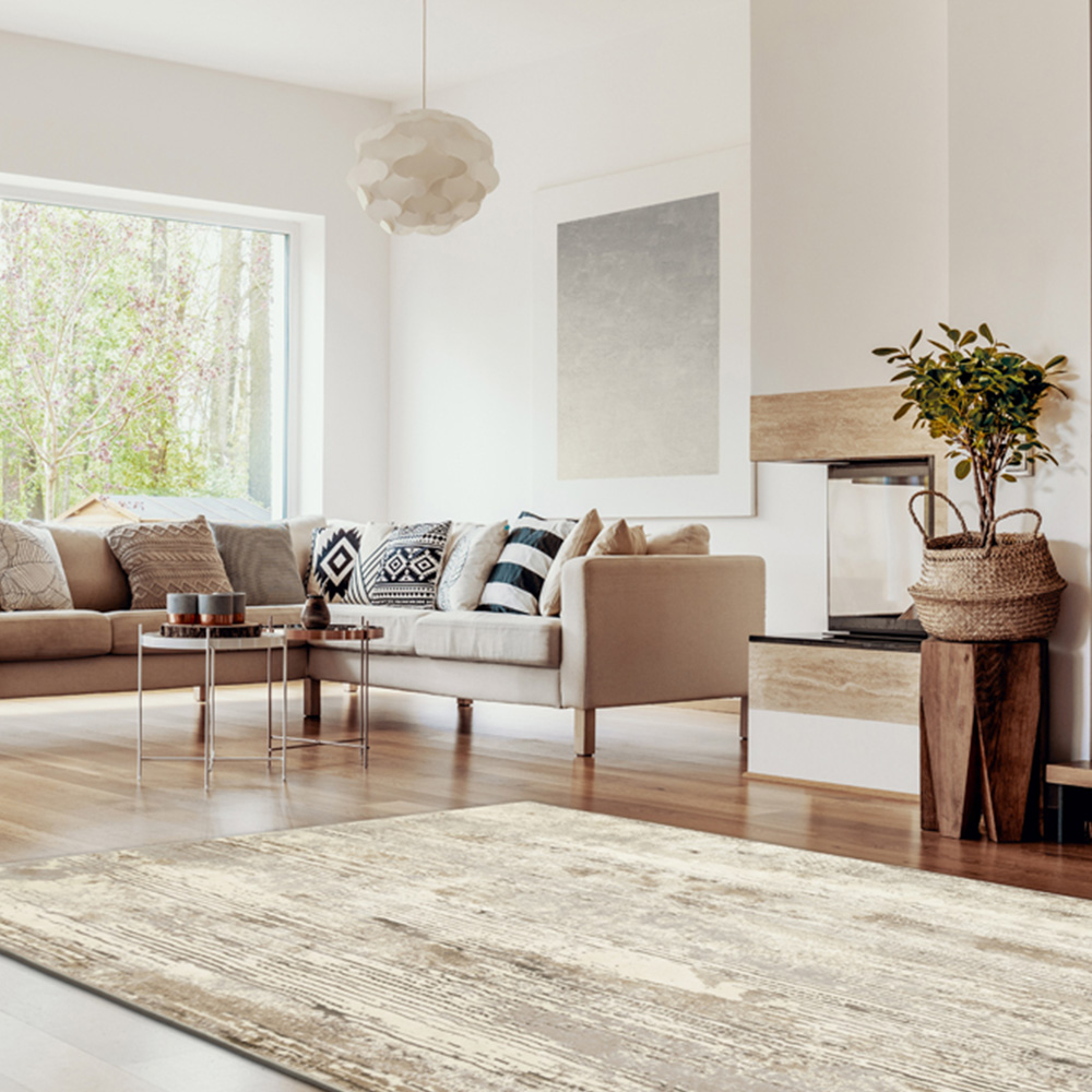 Esselle Home Solar Pluto Natural and Grey Rug 160 x 230cm Image 6