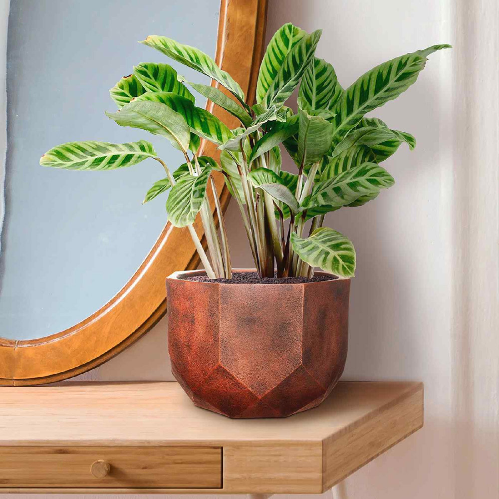 wilko Geometry Style Bronze Round Indoor Plant Pot 17cm Image 4