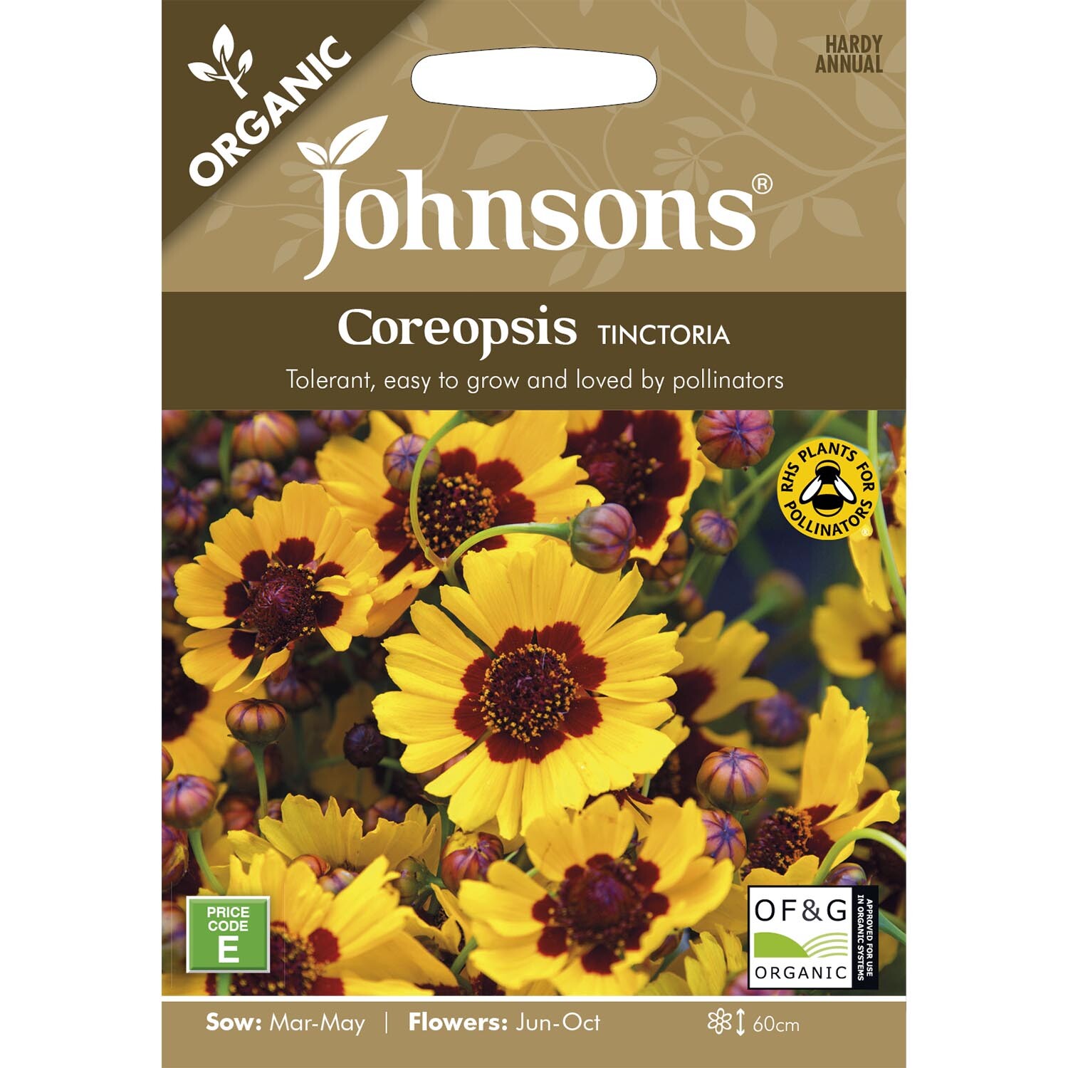 Johnsons Coreopsis Tinctoria Organic Flower Seeds Image 2