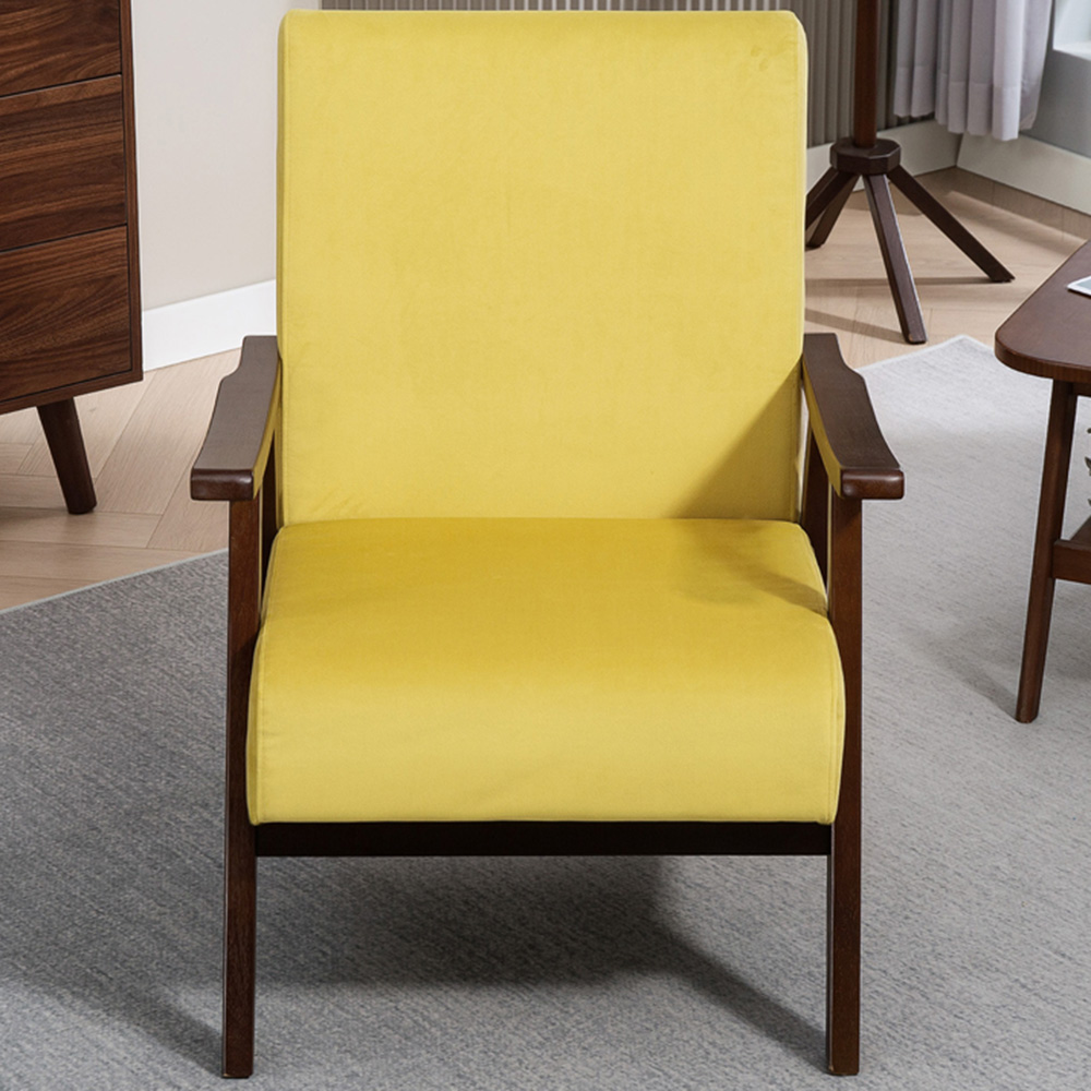 Portland Champagne Velvet Solid Wood Frame Armchair Image 1