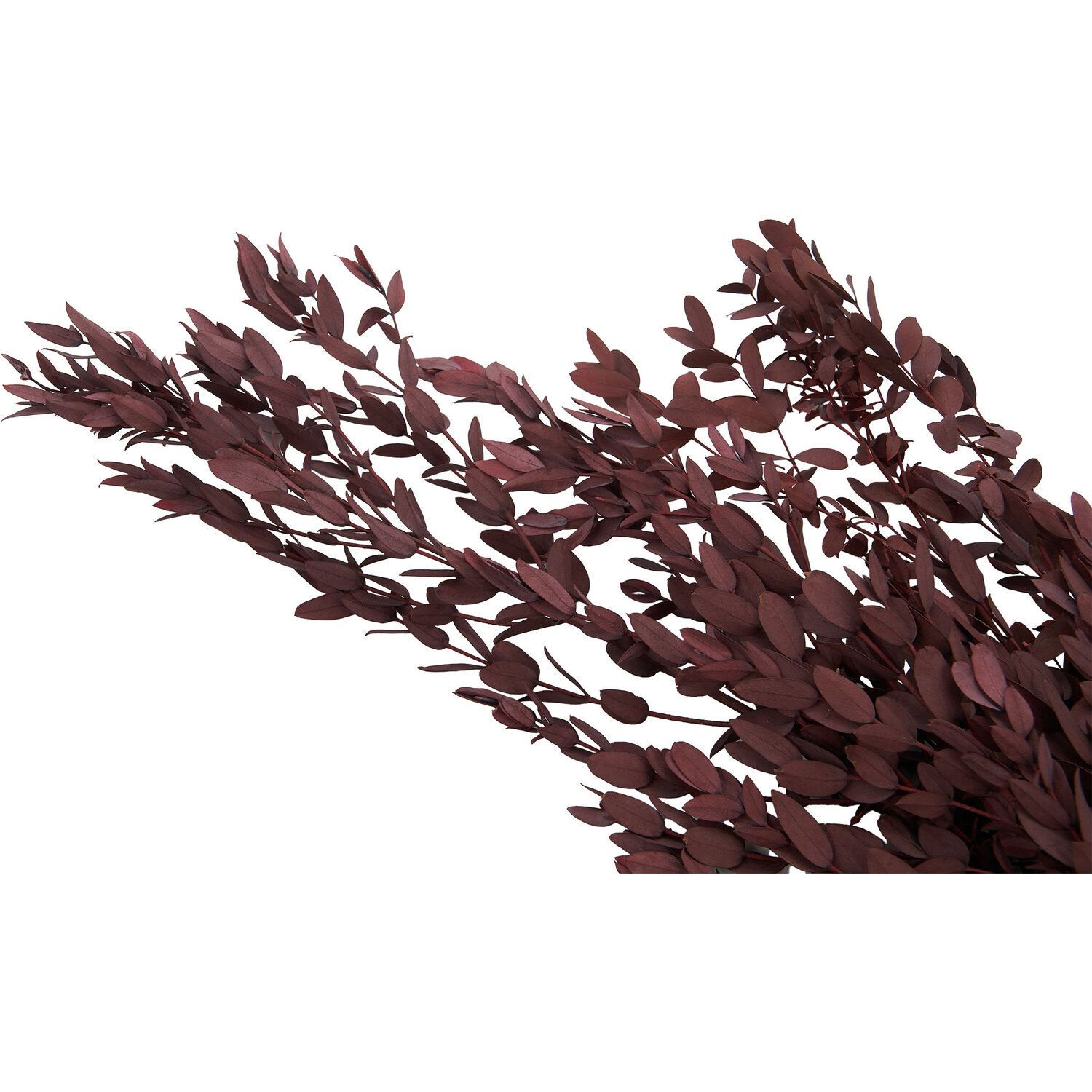 Mini Eucalyptus Bouquet Image 2