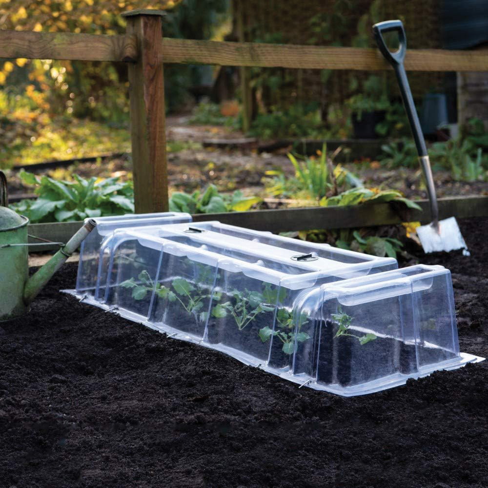 Thompson & Morgan Mini Greenhouse Garden Cloche 3 Pack 40 x 85cm Image 2