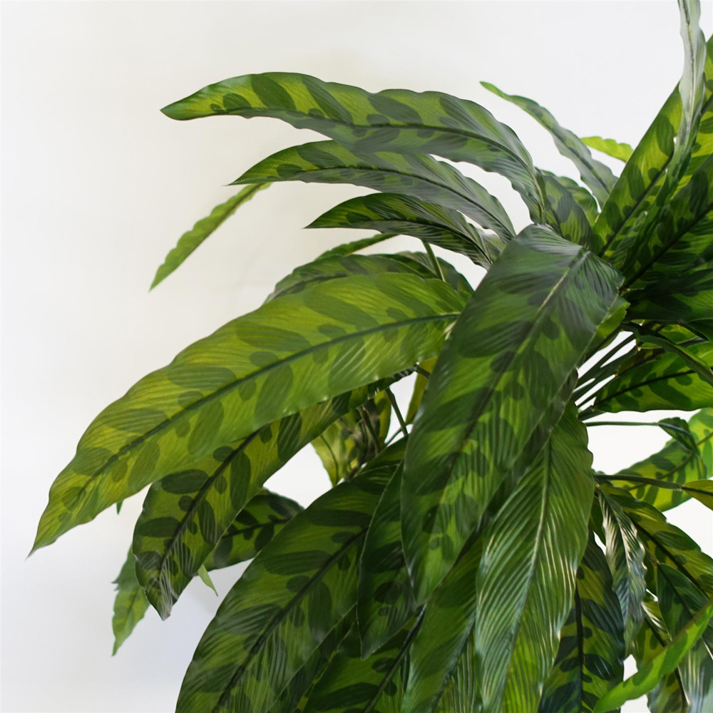 Leaf Green Variegated Calathea Artificial Plant Pot 1.9ft Image 5