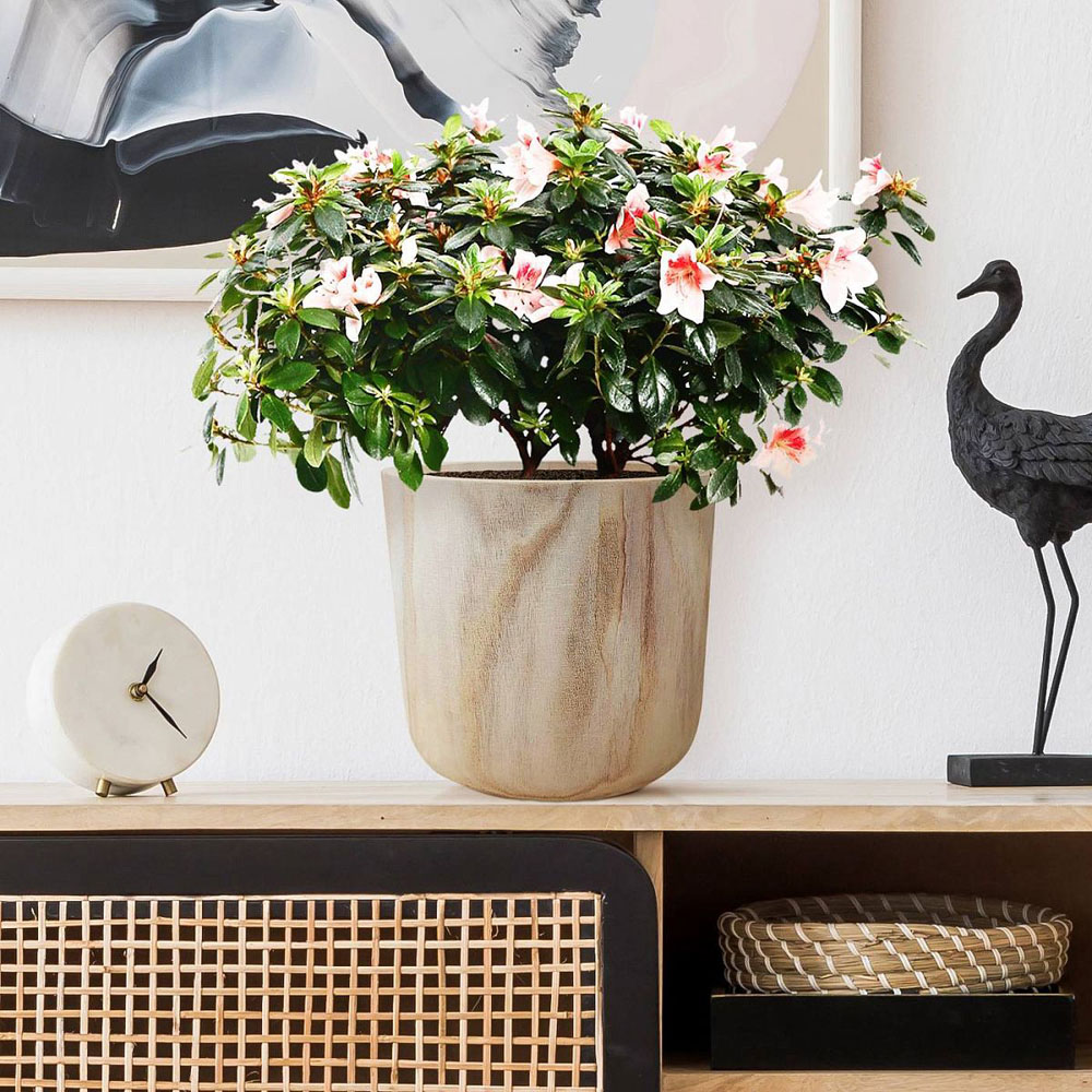 LECHUZA Hortico Craft Wooden Round Indoor Plant Pot 24 x 27cm 2 Pack Image 5